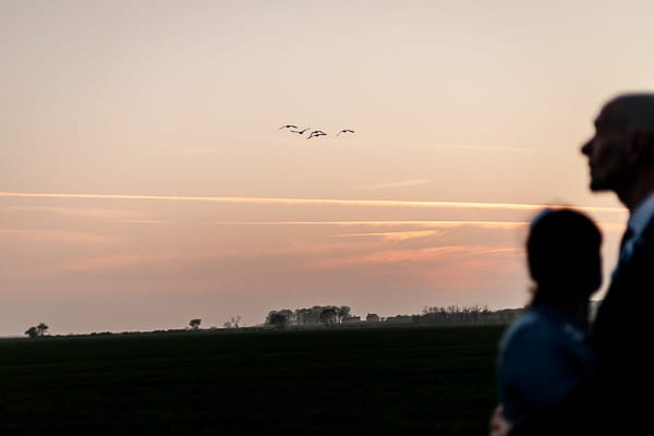 Bride and groom looking at sunset in field