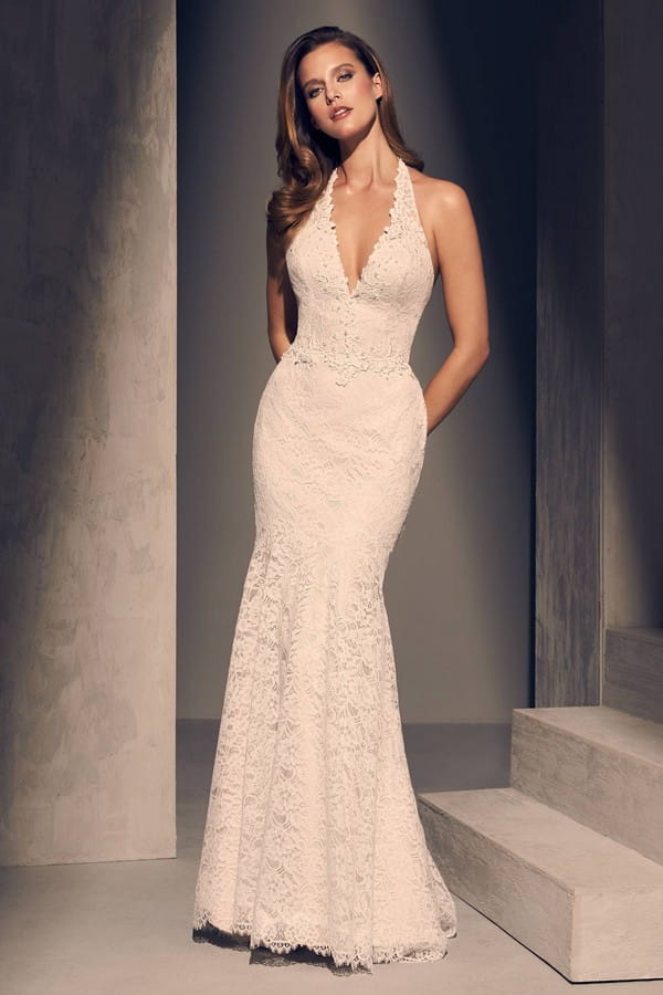 2205 Wedding Dress from the Mikaella Fall 2018 Bridal Collection