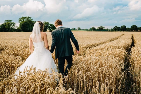 Bride and groom walking across cornfield