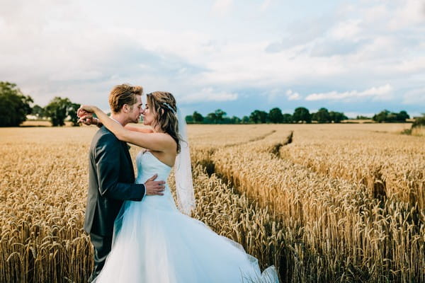 Bride and groom kissing in field of corn