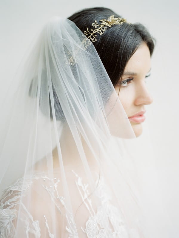 Bride with updo, crown and veil