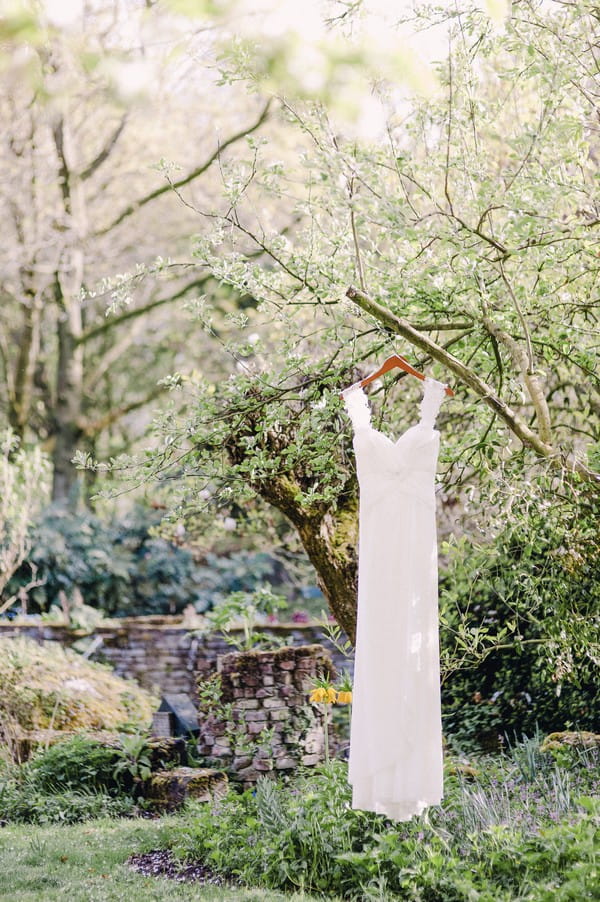 Wedding dress hanging from tree branches