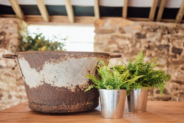 Rustic urn and pot plants