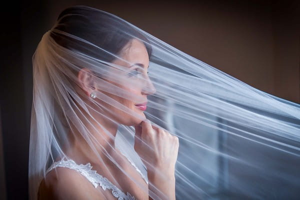 Bride with veil over her face and hand on her chin - Picture by Peter Anslow Photography