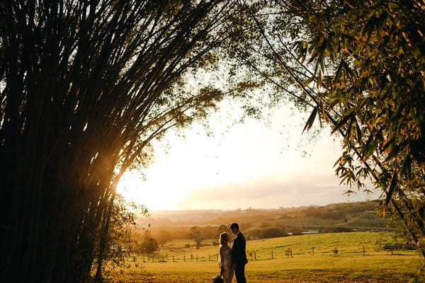 Bride and groom standing in tree clearing