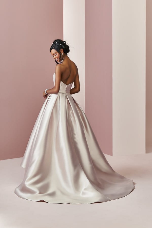 Back of Erica Wedding Dress from the Rebecca Ingram Camille Fall 2018 Bridal Collection