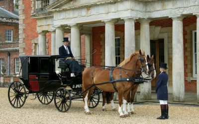 Hiring Horse and Carriage Wedding Transport