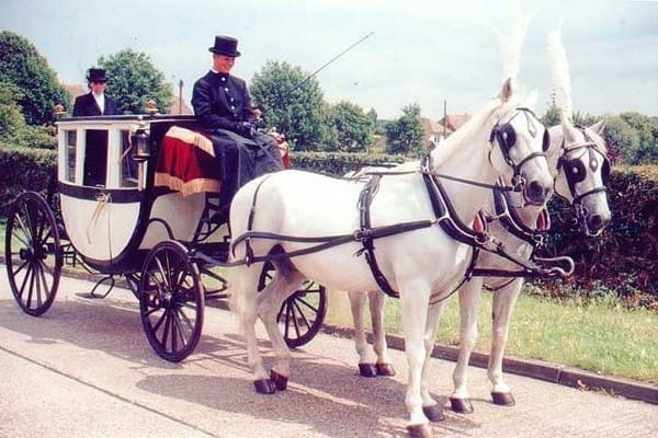 Horse-Drawn Royal Glass Carriage