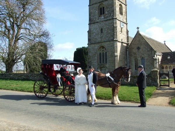 Horse-Drawn Surrey Carriage