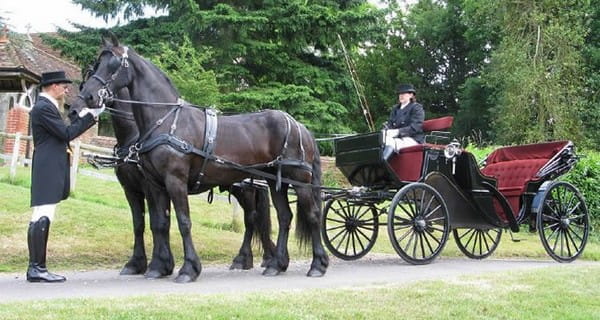 Horse-Drawn Vis a Vis Carriage