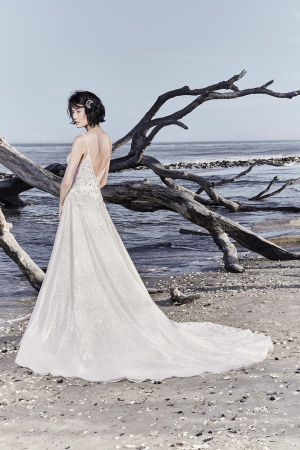 Back of Chad Wedding Dress from the Sottero and Midgley Ariya Fall 2018 Bridal Collection