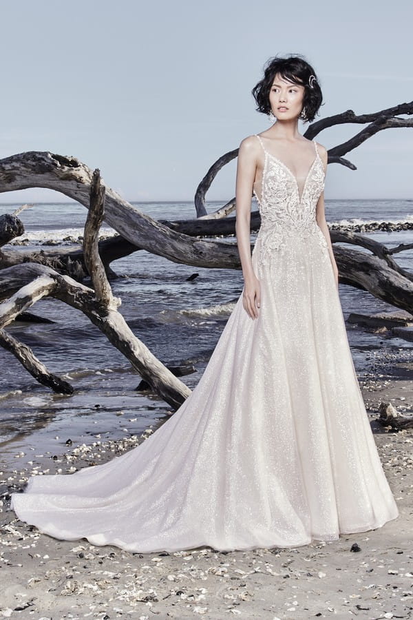 Chad Wedding Dress from the Sottero and Midgley Ariya Fall 2018 Bridal Collection