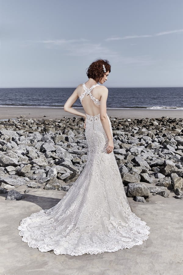 Back of Holden Wedding Dress from the Sottero and Midgley Ariya Fall 2018 Bridal Collection