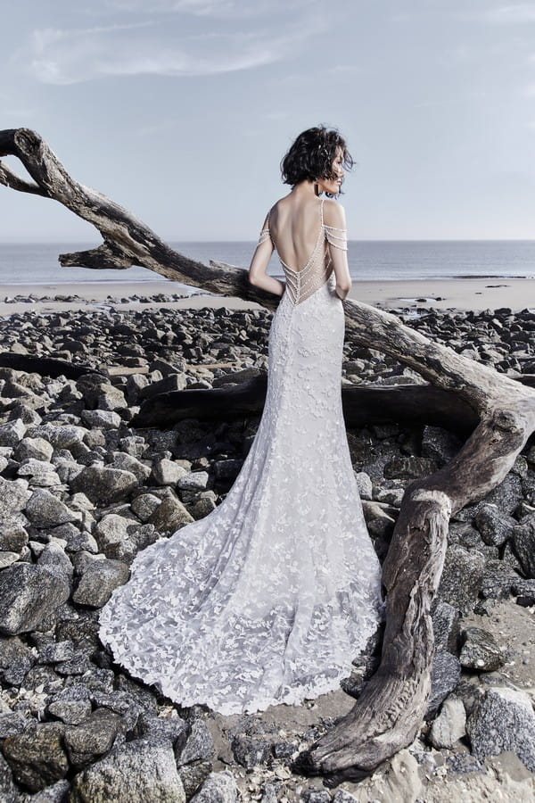 Back of Lynnis Wedding Dress from the Sottero and Midgley Ariya Fall 2018 Bridal Collection