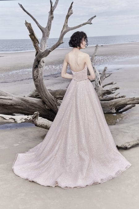 Back of Magdalyn Wedding Dress from the Sottero and Midgley Ariya Fall 2018 Bridal Collection