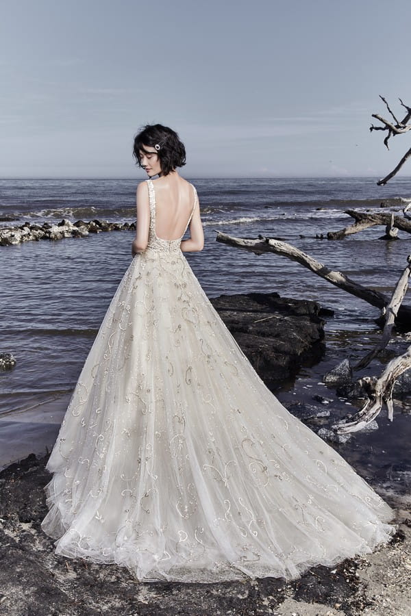 Back of Maven Wedding Dress from the Sottero and Midgley Ariya Fall 2018 Bridal Collection