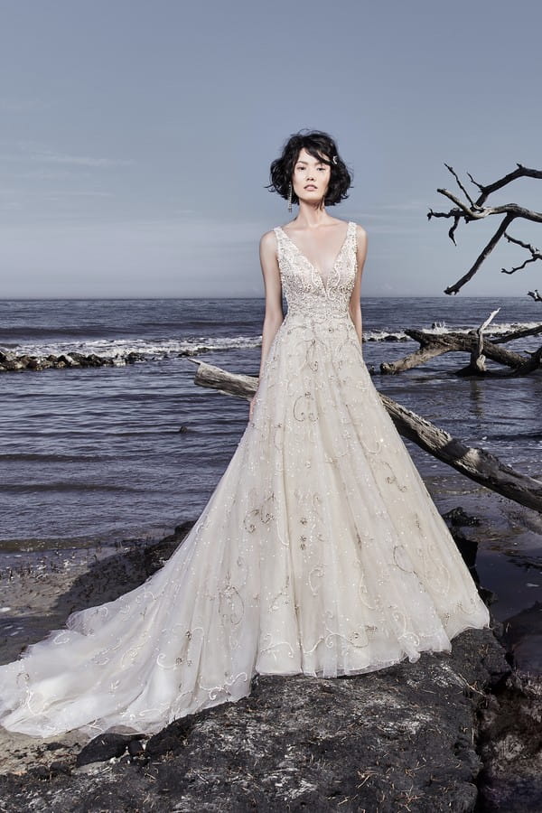 Maven Wedding Dress from the Sottero and Midgley Ariya Fall 2018 Bridal Collection