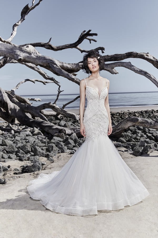 Nouvelle Wedding Dress from the Sottero and Midgley Ariya Fall 2018 Bridal Collection