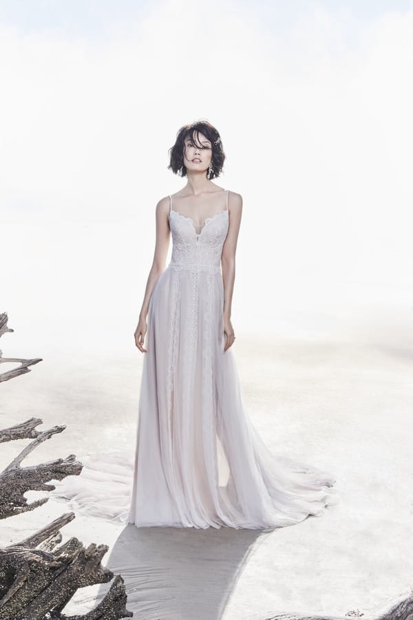 Olson Wedding Dress from the Sottero and Midgley Ariya Fall 2018 Bridal Collection