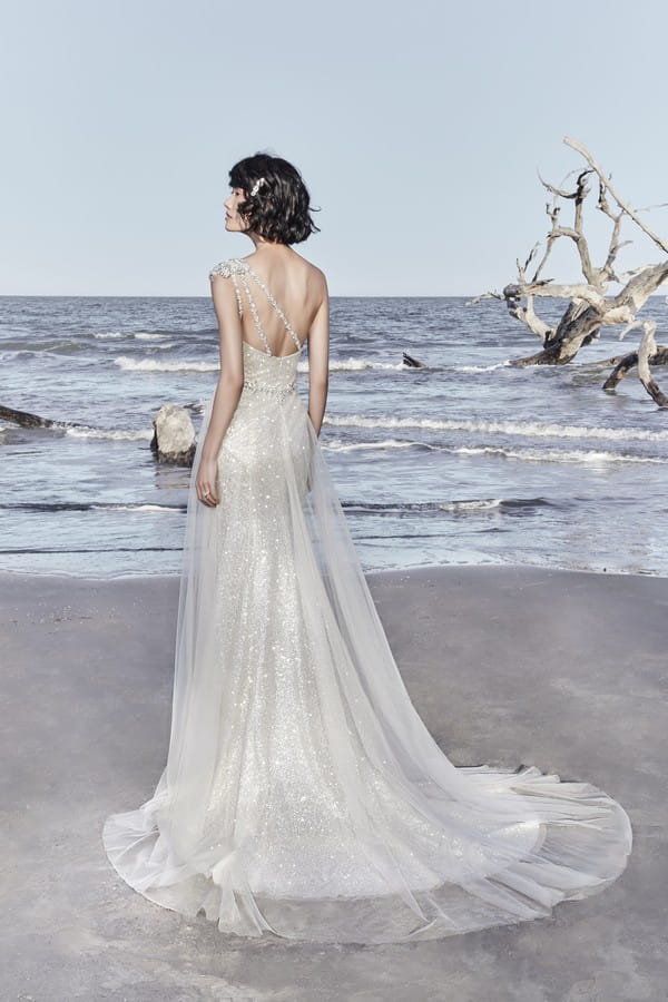 Back of Ronelle Wedding Dress from the Sottero and Midgley Ariya Fall 2018 Bridal Collection