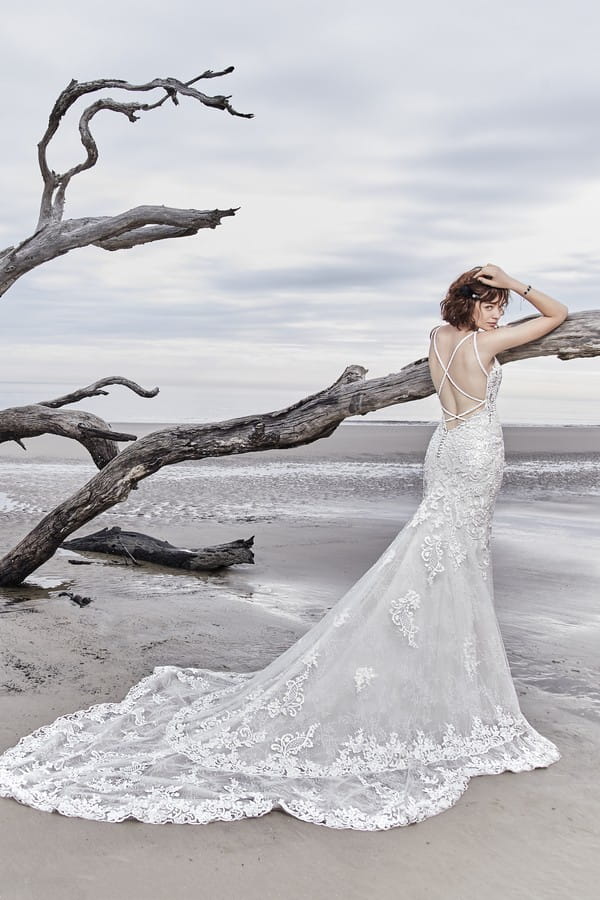 Back of Sullivan Rose Wedding Dress from the Sottero and Midgley Ariya Fall 2018 Bridal Collection