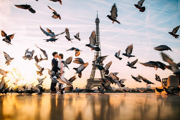 Bride and groom kissing by Eiffel Tower with birds flying around them - Picture by Albert Palmer Photography