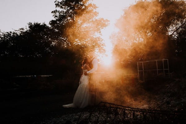 Bride and groom standing as sun shines through mist next to them - Picture by Damian Brandon