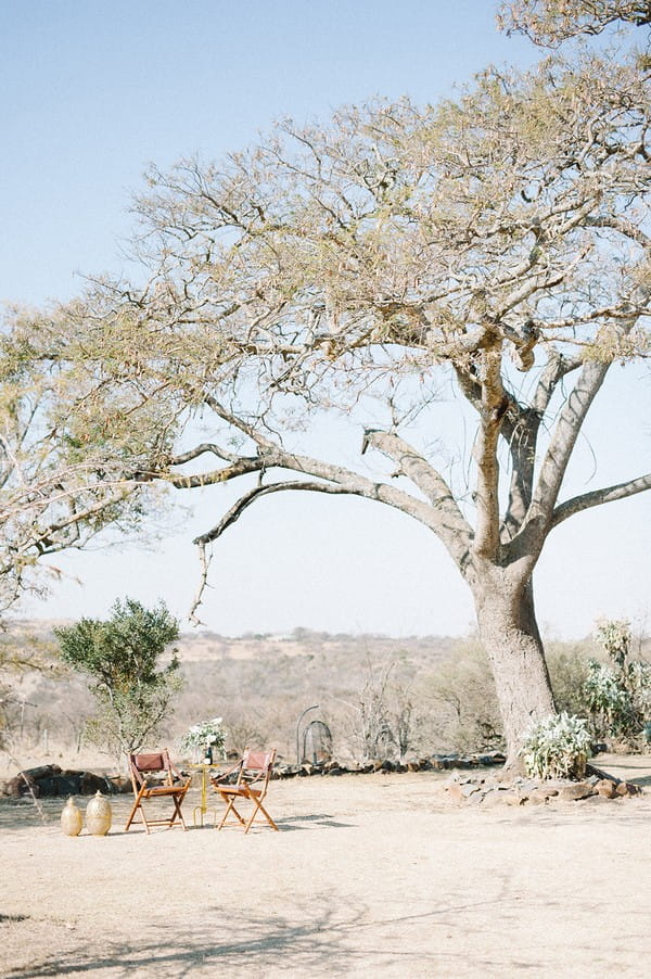 Small table under tree at Nambiti Private Game Reserve
