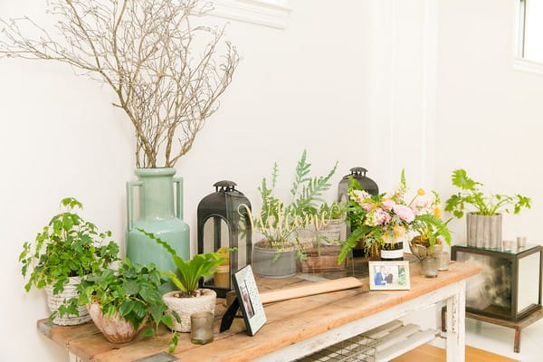 Pots of plants on wooden table at wedding