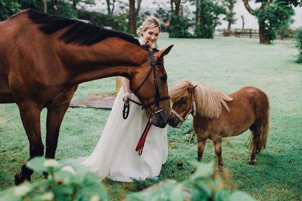 Bride with horse and foal - Picture by Butterfly Photography