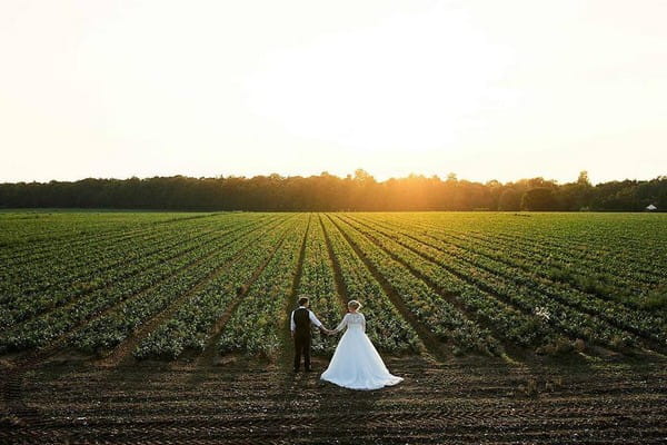 Bride and groom holding hands in front of crop field as sun sets - Picture by Faye Amare Photography