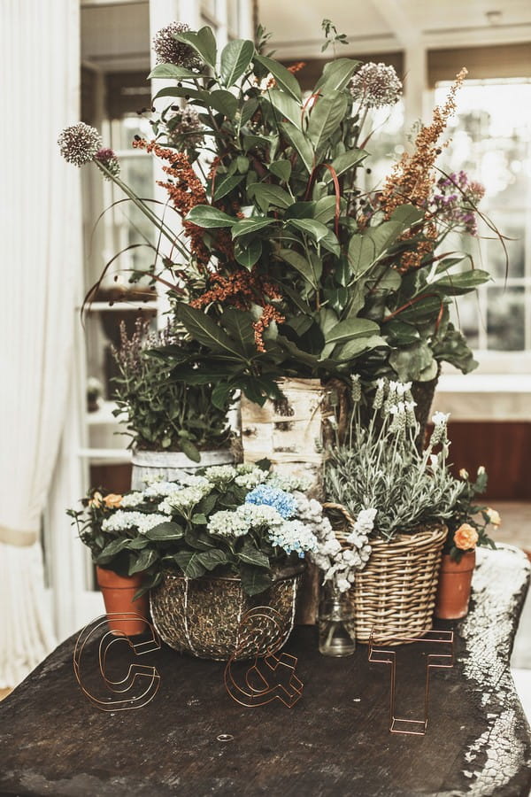 Potted plants on table at wedding