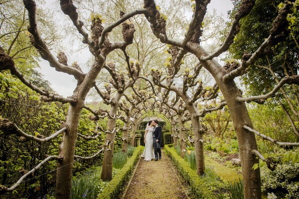 Bride and groom kissing at end of walkway lined with tree branches - Picture by Ian Baker Photography