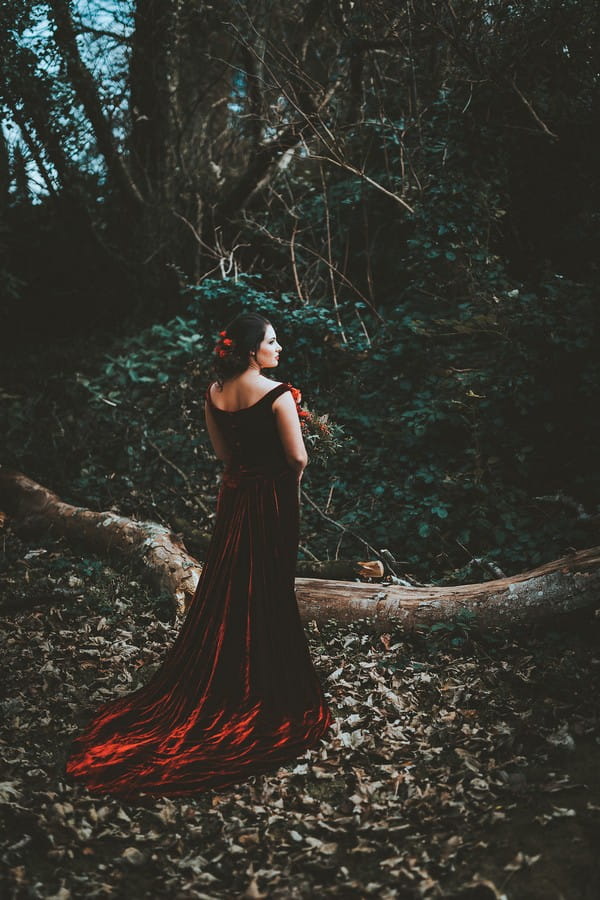 Bride wearing red velvet wedding dress in woods