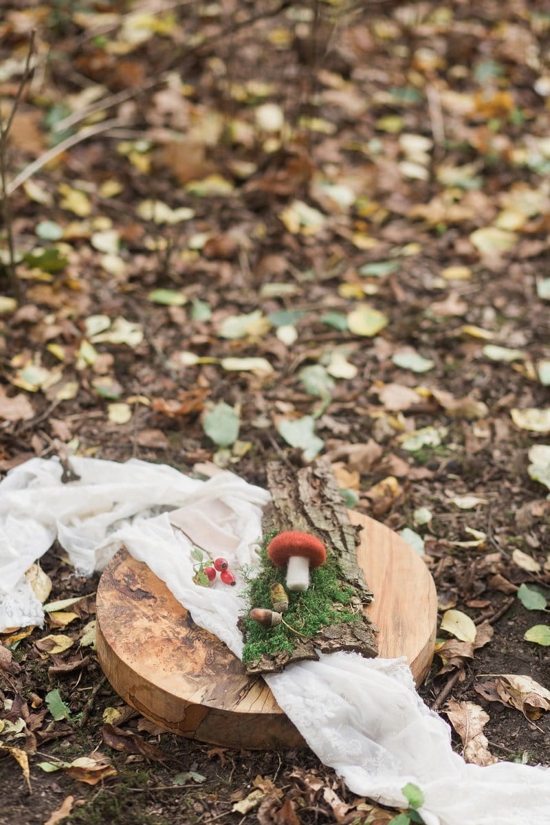 Felt mushroom and acorns on wooden board