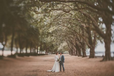 Bride and groom standing under line of trees - Picture by Michelle Lindsell Photography
