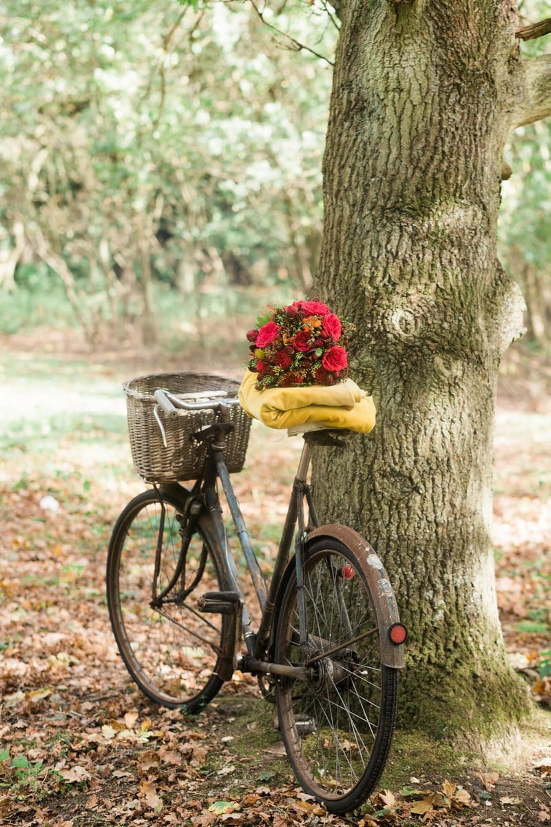 Old bicycle leaning against tree