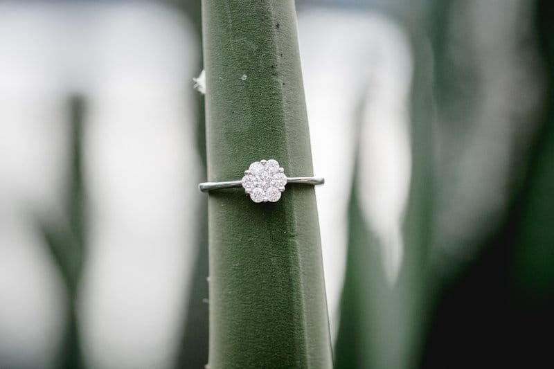 Wedding ring on tropical leaf