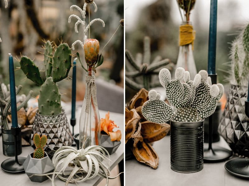 Pots and vases of cactuses on wedding table