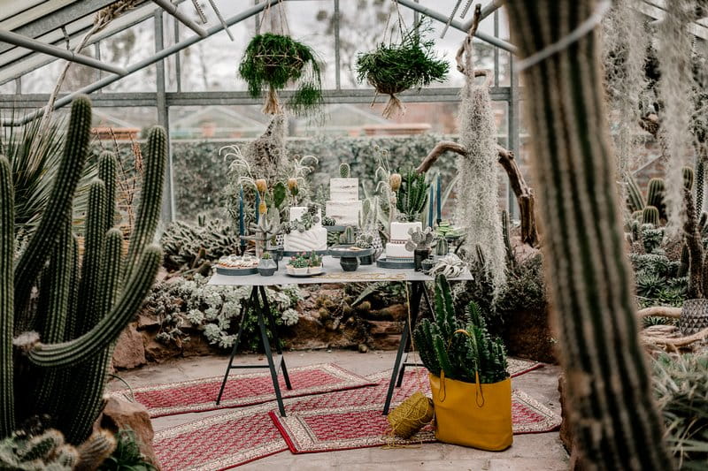 Wedding dessert table in greenhouse full of cactuses