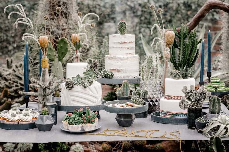 Wedding cakes and desserts on table with cactuses