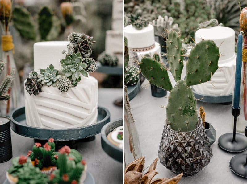 White wedding cake and cactus