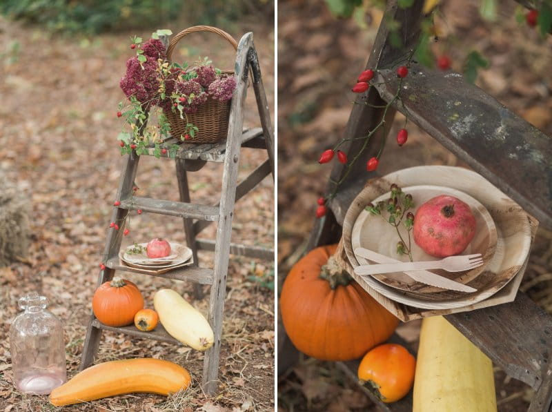 Ladder with flowers and vegetables