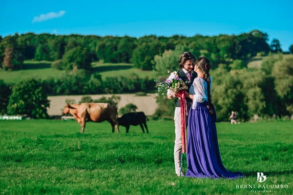 Groom standing with bride in purple skirt in field with cows - Picture by Berni Palumbo Photography