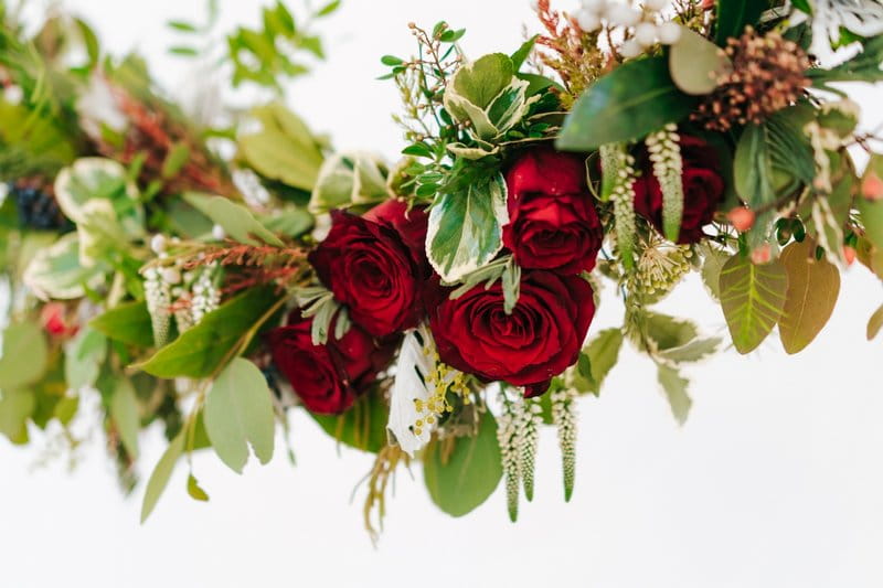 Red roses and foliage