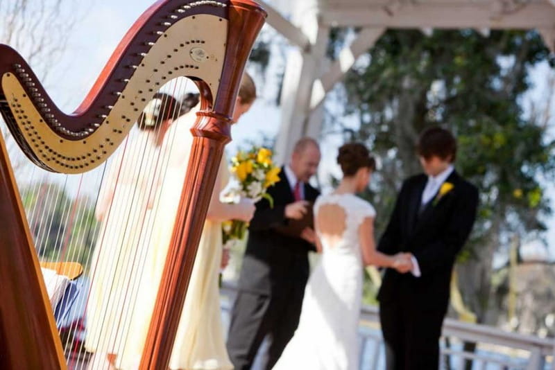 Harp in Wedding Ceremony