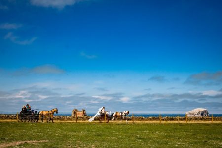 Bride and groom riding on horse and cart by the sea - Picture by Eilidh Robertson Photography