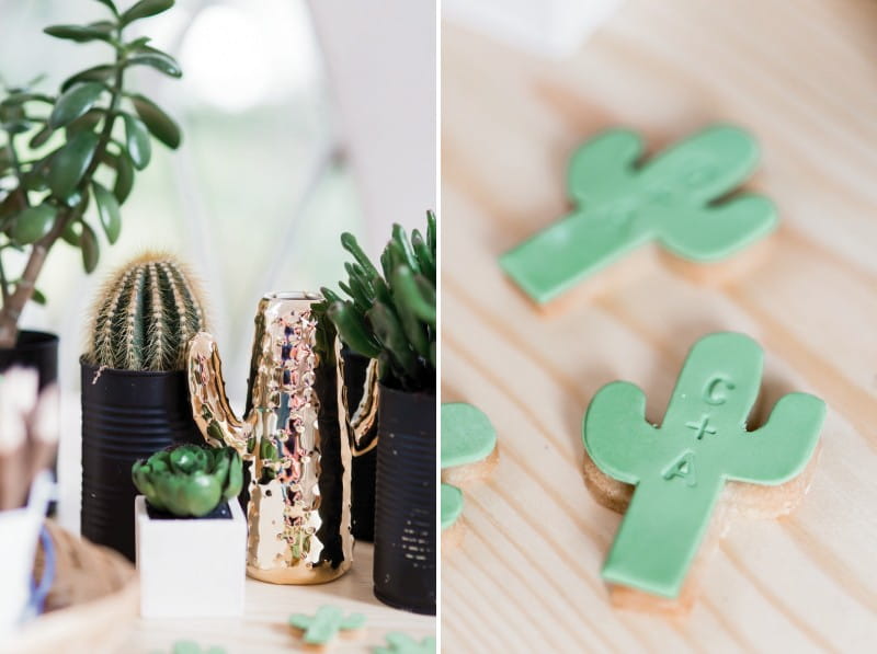 Small cactus plants and cactus shaped biscuits