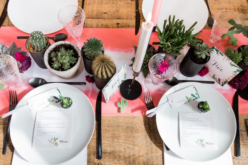 Small pots of cacti and succulents on wedding table