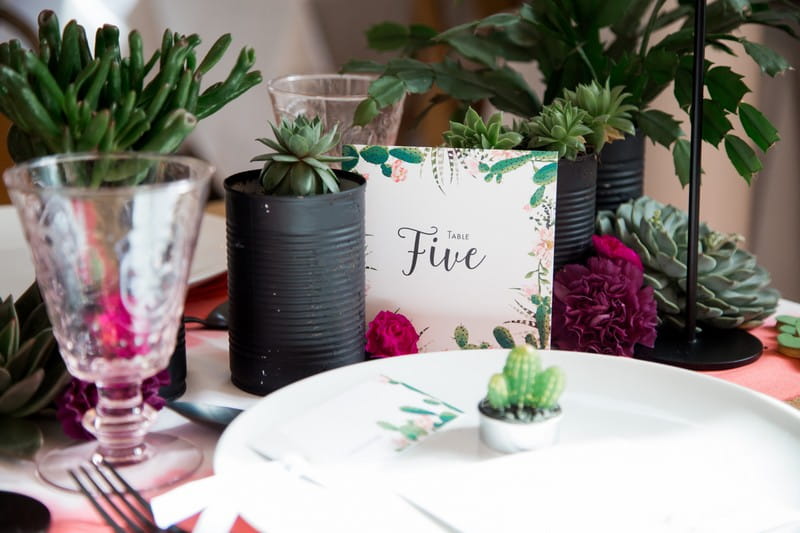 Pots of cacti, succulents and cactus wedding table number